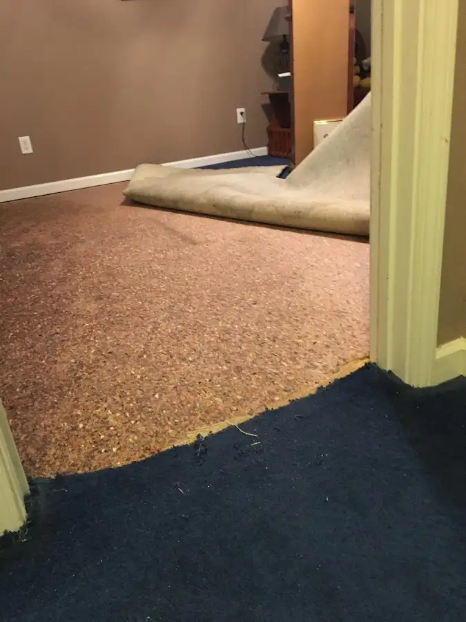 Carpet pad removal revealing water damage during Drying & Dehumidification in Chicopee